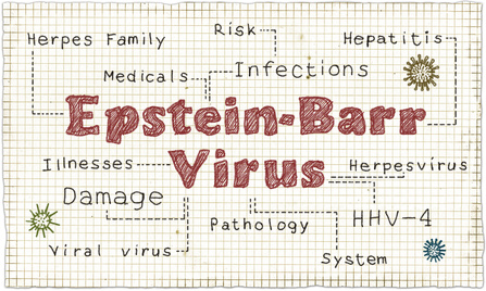 Epstein-Barr-Virus | Naturheilpraxis Bode, Wuppertal